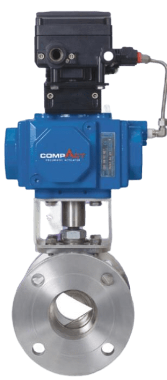 Habonim Control Valves